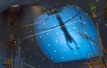 Cirque du Soleil: Drawn to Life