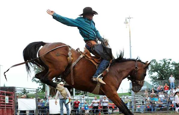 Hamel Rodeo and Bull Ridin Bonanza