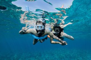 Maui: Turtle Reef Morning Snorkel Cruise with Lunch & Slide