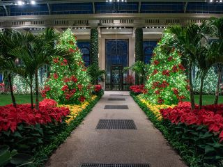 Philadelphia to Longwood Gardens Holiday Lights Pop up tour