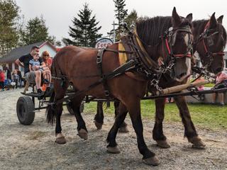 Nova Scotia Forest Festival
