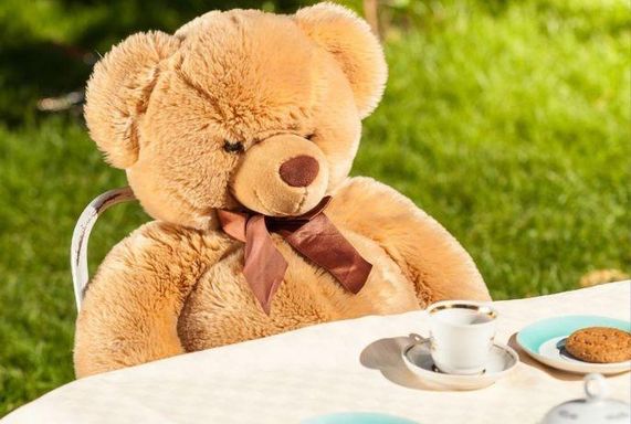 Teddy Bear Tea at the Museum