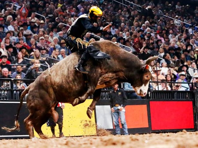 PBR Team Series - 2 Day Pass (8/21-8/22)