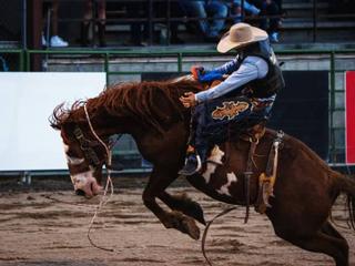 Jackson Hole Rodeo