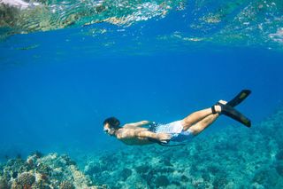 Snorkel and Catamaran Sail