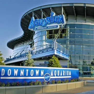 Aquarium Restaurant - Downtown Denver