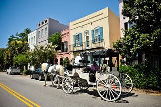 Private Daytime Horse-Drawn Carriage Tour of Charleston