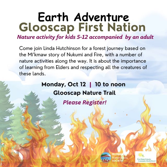 Earth Adventure